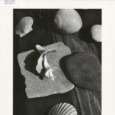 Untitled (from MONO, p. 54)