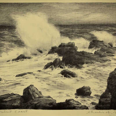 Turbulent Coast