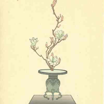 untitled botanical print (Plate 96)