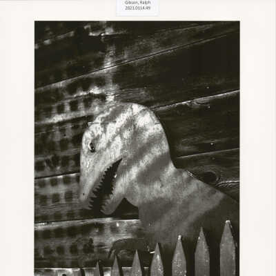 Untitled (from MONO, p. 87)