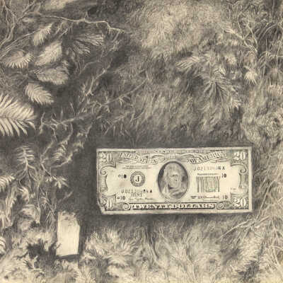 20 Dollars