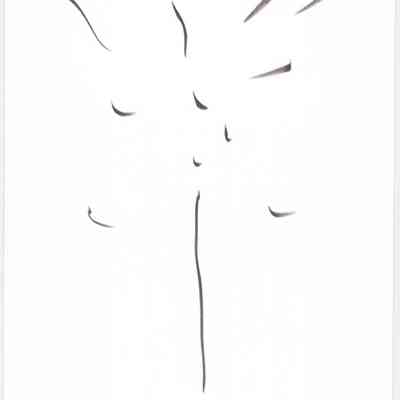 untitled from The Singer series