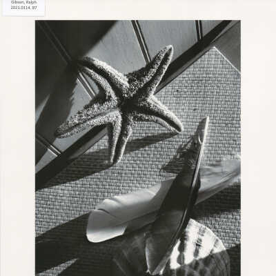 Untitled (from MONO, p. 48)