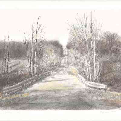 Sycamore Stream