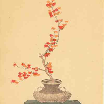 untitled botanical print (plate 3)