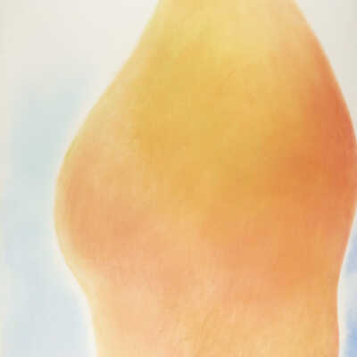 Untitled (Ovals series)