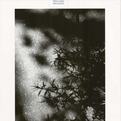 Untitled (from MONO, p. 84)