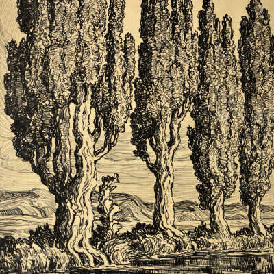 Utah Poplars
