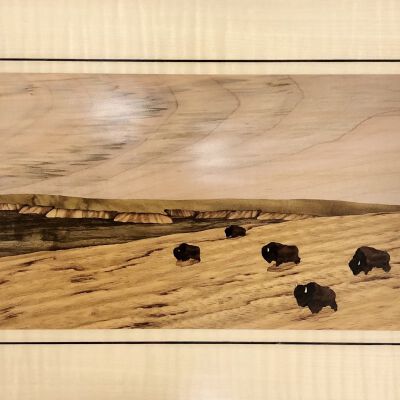 Bison Scene