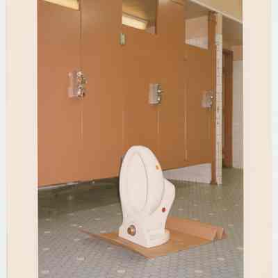 Sculpture in Rest Room