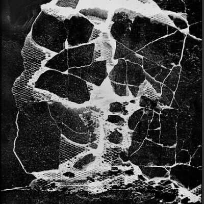 Skull, 1987-2018