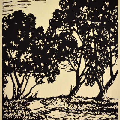 Willows