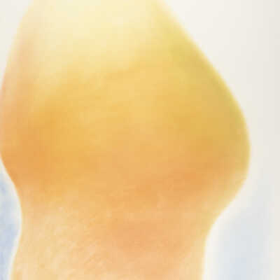 Untitled (Ovals series)