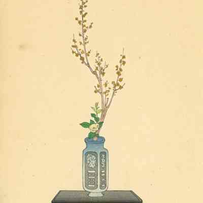 untitled botanical print (Plate 91)