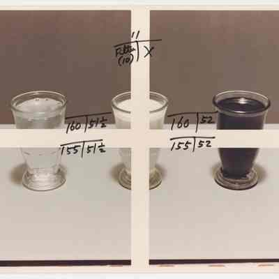 Three Cups (working photograph)