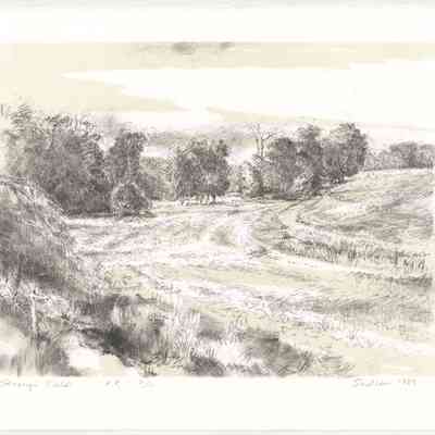 Strong's Field