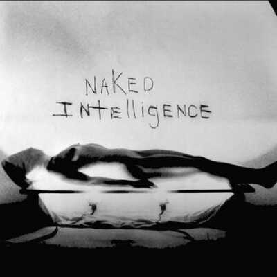 Naked Intelligence