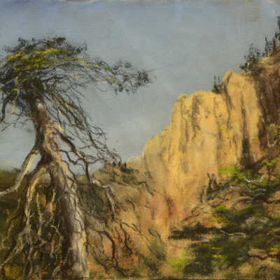 Untitled