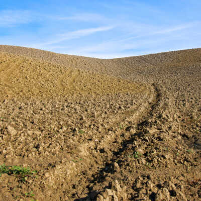 Plowed Earth and Sky, Italy