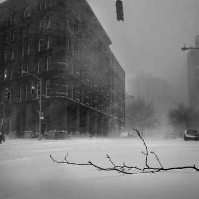 Broken Branch on Hudson, Hudson St. & Duane St.