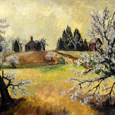 Dusty Spring
