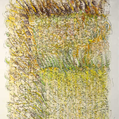 Field Edges
