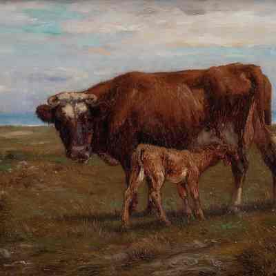 Cow and Calf