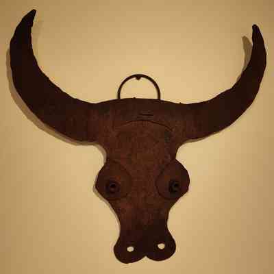 Long-horn Steer Head