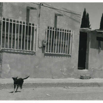 Untitled (Incidental America portfolio)