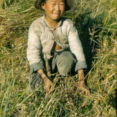 Boy In Field, Hangchow, China