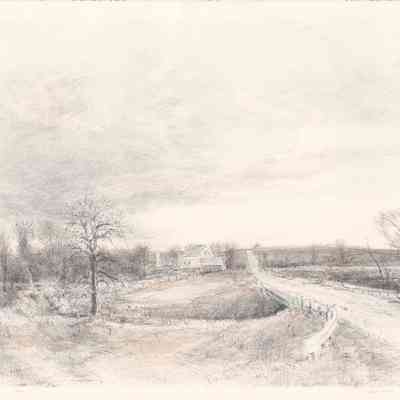 Dragoon Creek