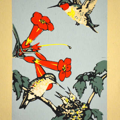 Hummingbird