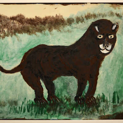 Untitled (mountain lion)