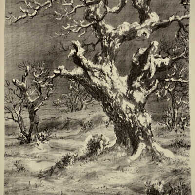 One December Day