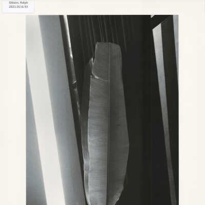 Untitled (from MONO, p. 37)