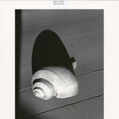 Untitled (from MONO, p. 76)