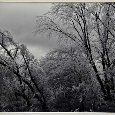Alta Vista Hoarfrost