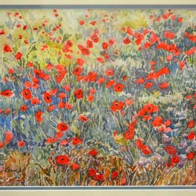 Field of Poppies