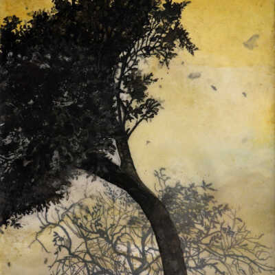 Acrid Air II