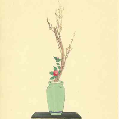 untitled botanical print (Plate 73)