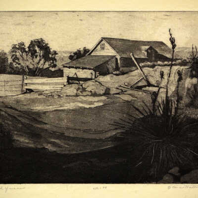 Barn and Yucca