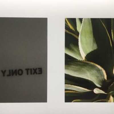 Untitled (from Political Abstraction)