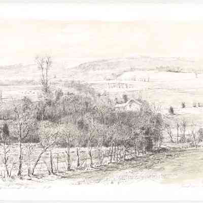 Vinland Farm