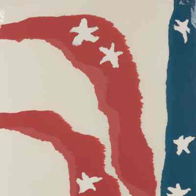 untitled (Flag series)