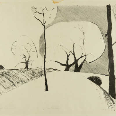 Apple Trees