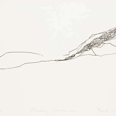 Floating Landscape