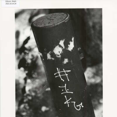 Untitled (from MONO, p. 98)