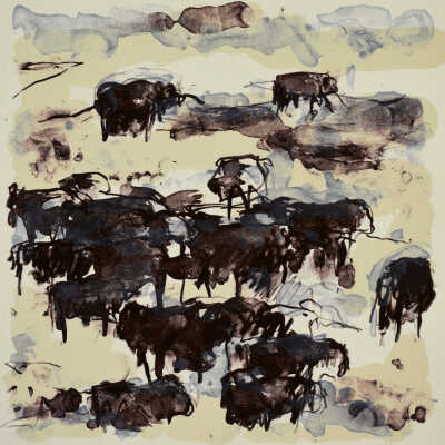 Wichita Angus