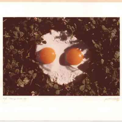 Sunny Side Up