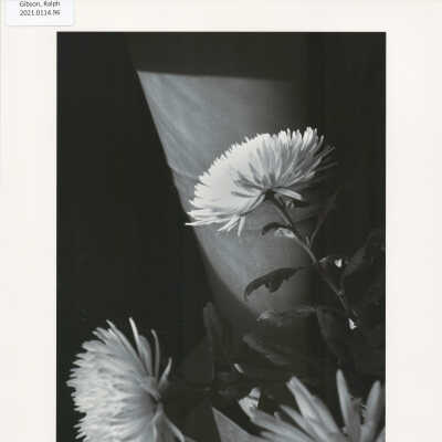 Untitled (from MONO, p. 39)